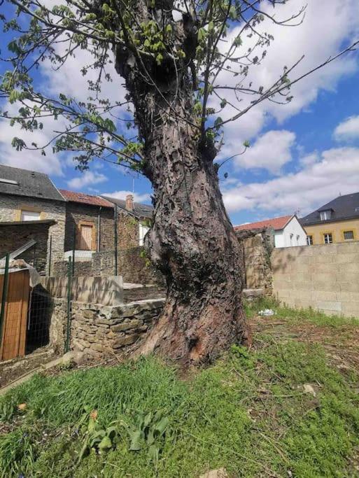 La Cascade Verte /Appartement /Jardin /Parking Braux  Kültér fotó